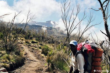 Le toit de l’Afrique : mon ascension du Kilimandjaro : il y a presque 10 ans déjà ! (1ère partie)