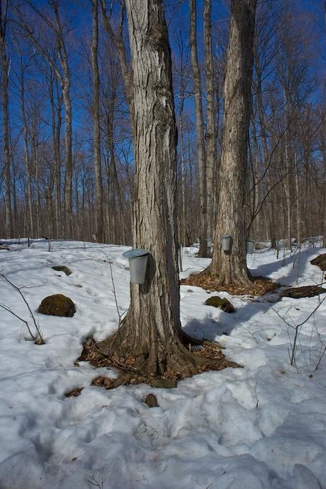 anteketborka.blogspot.com, piknik 3