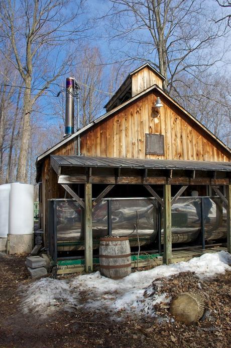 anteketborka.blogspot.com, piknik 5