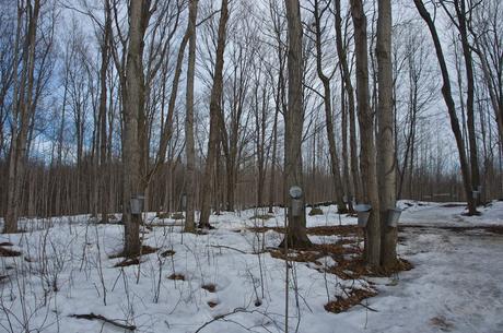 anteketborka.blogspot.com, piknik 999