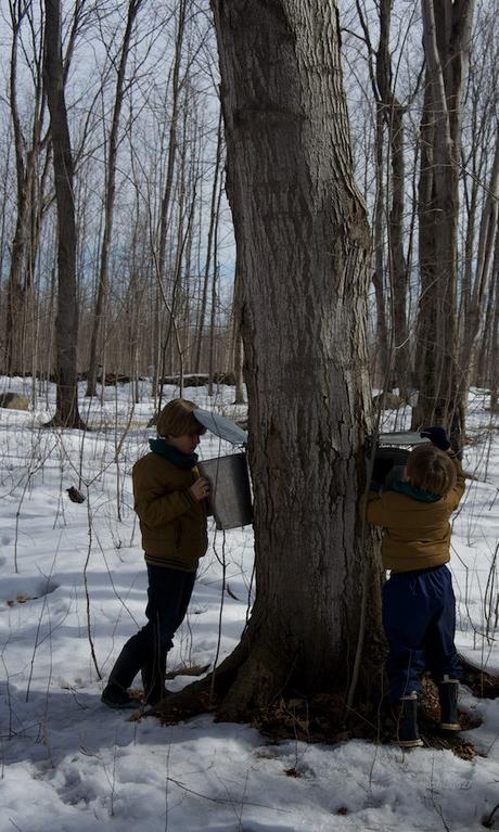 anteketborka.blogspot.com, piknik 22