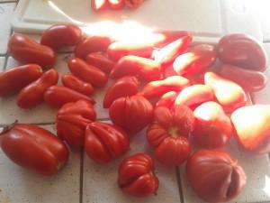 Sauce tomate faite maison