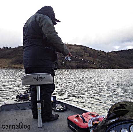 Verticalisation - IV