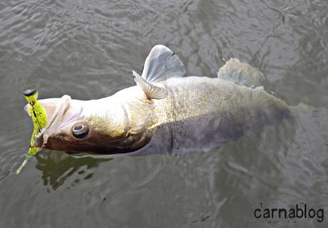 Verticalisation - IV