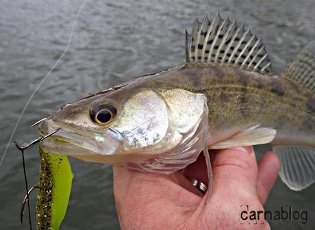 Verticalisation - IV