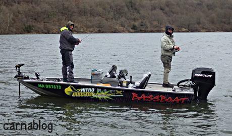 Verticalisation - IV