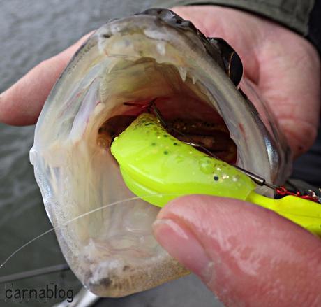 Verticalisation - IV