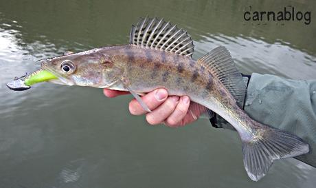 Verticalisation - IV