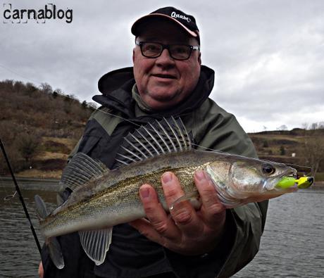 Verticalisation - IV