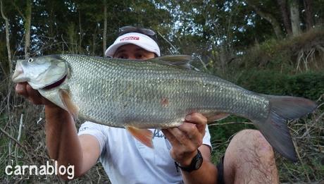 Jeu concours pour le quatrième anniversaire de Carnablog - JEU TERMINE