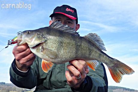 Jeu concours pour le quatrième anniversaire de Carnablog - JEU TERMINE