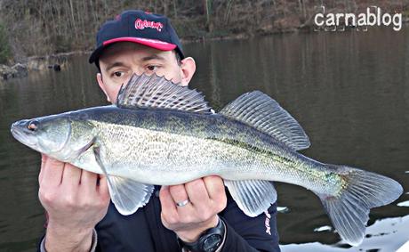 Jeu concours pour le quatrième anniversaire de Carnablog - JEU TERMINE