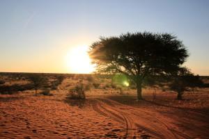 Un voyage en Namibie