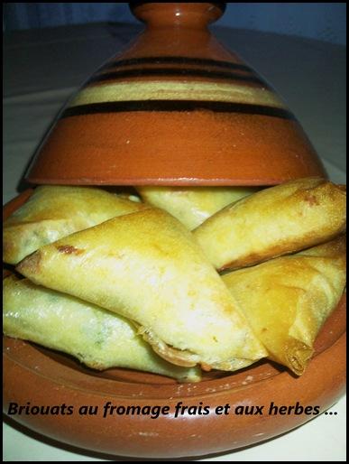 Briouats au chèvre frais et aux herbes de LEILA Oufkir