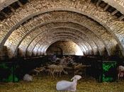 (Critique) "Tous Larzac&amp;quot; Christian Rouaud avant-première l'Institut Lumière.