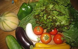 Du bio dans mon assiette