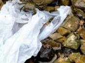Pollution pétition contre sacs plastiques jetables Rochelle