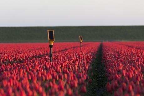 Quand les multinationales de l’agrobusiness s’achètent une vertu climatique