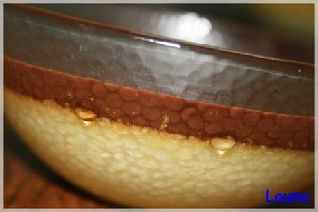 Flan coco - coulis chocolat..........