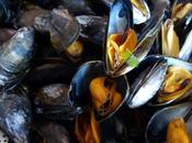 Moules marinieres