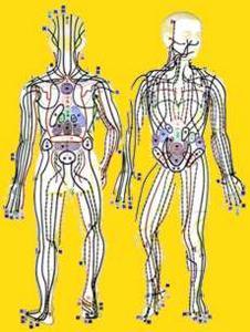 Après un raid multisports, le shiatsu, un véritable allié !