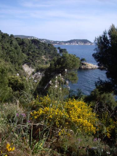COMMENT ALLER A LA PLAGE DU MONACO AU PRADET?