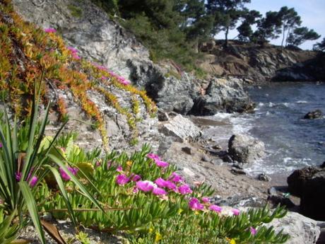 COMMENT ALLER A LA PLAGE DU MONACO AU PRADET?