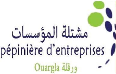 Accompagnement de projets à travers la formule « incubateur » de la pépinière d’entreprises de Ouargla
