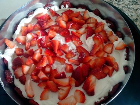 Fraisier (7)