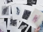 1Day1Post Pernille Folcarelli