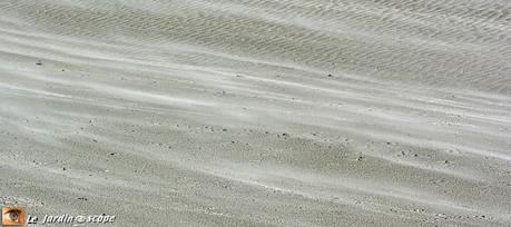 Baie de Somme : Le sable poussé par le vent