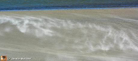 Baie de Somme : Le sable poussé par le vent