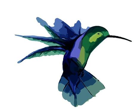 colibri