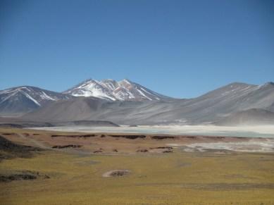 végétation jaune typique des 4000 m