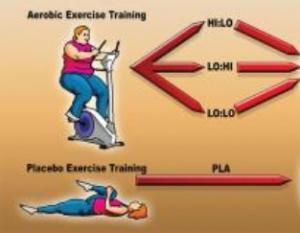 MALADIE du FOIE: Fitness vs fatness, l'exercice efficace sans perte de poids? – Journal of Hepatology