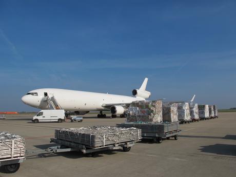Chargé hier de 32 tonnes de secours à Liège un deuxième avion Cargo du CICR est sur le point de rejoindre Sanaa. Photo : Alexandre de jaeger - CICR 