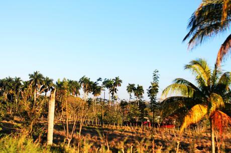 Cuba - La Havane ©John Noa - Les Garçons en Ligne