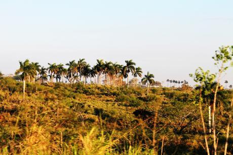 Cuba - La Havane ©John Noa - Les Garçons en Ligne