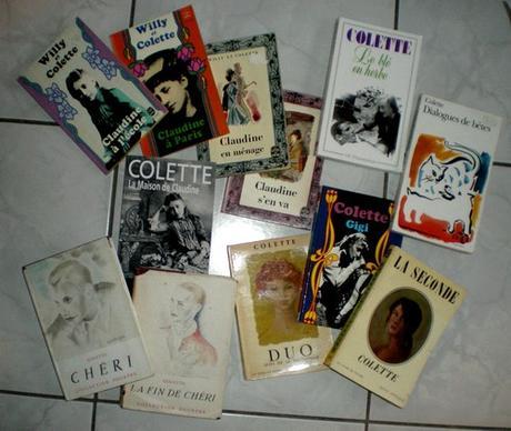 http://bazar-de-la-litterature.cowblog.fr/images/LeQuinzeLitteraire/Colettedansmabibliotheque.jpg