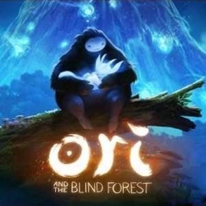 Test – Ori and the blind forest