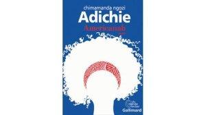 Americanah ou l’odyssée d’une jeune immigrée nigériane