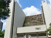 Sunday lunch Basilico