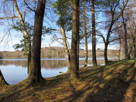 Souvenirs de l'Yonne et des contrées limitrophes