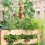 Shopping pour créer un jardin bio gourmand sur son balcon
