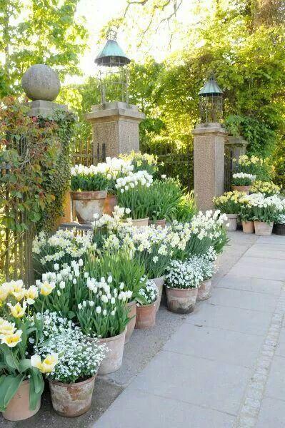 Créer son jardin en pots : trucs et inspiration Faire pousser des fleurs en pots