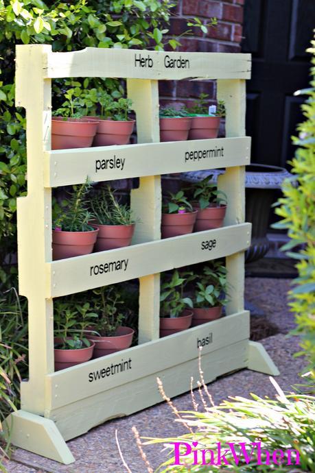 Jardin d'herbes dans une palette de bois