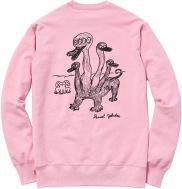 DANIEL JOHNSTON FOR SUPREME SS2015