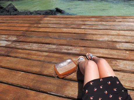 Sur l’île Maurice. IM5