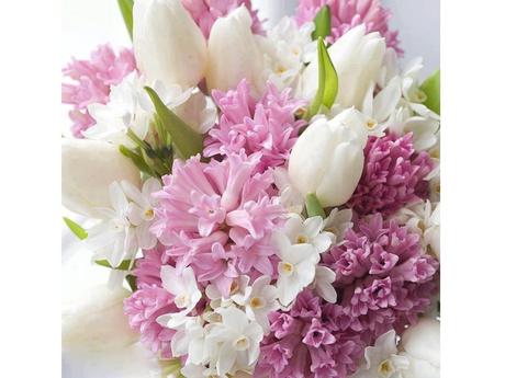 Divers - Les plus belles fleurs - 2