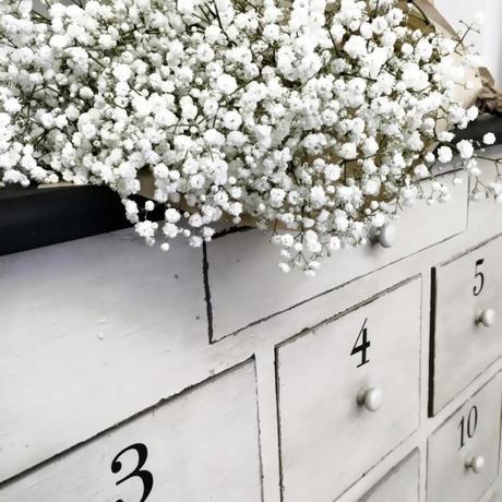 11136663_658294227635800_7102625883941863964_n